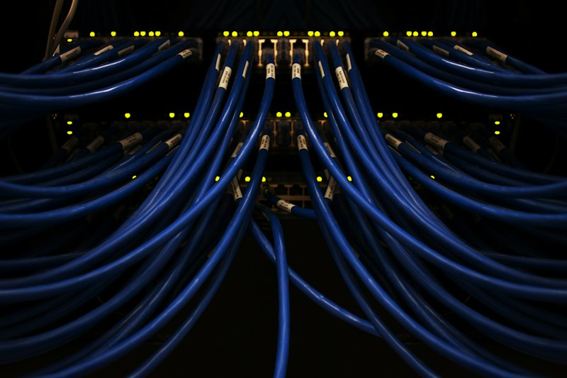 Cabos de rede azuis conectados a um switch